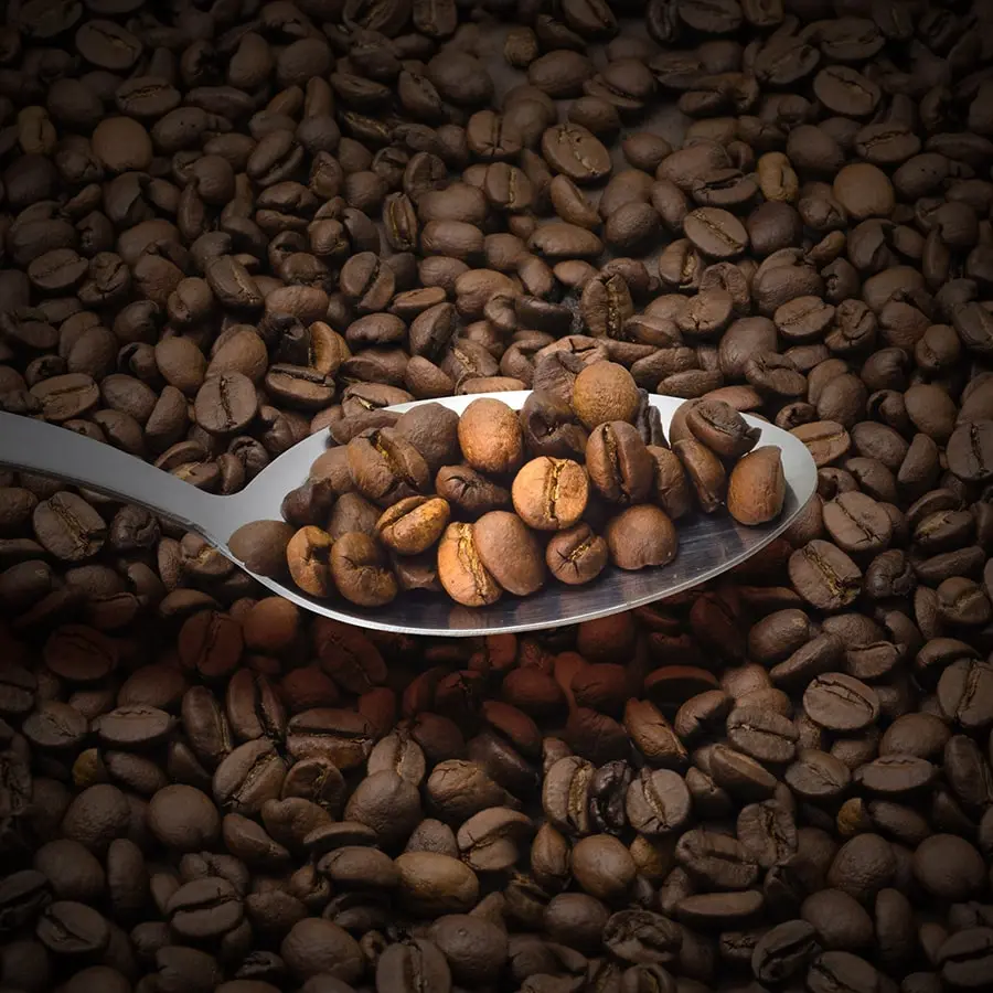 Spoon full of roasted Arabica coffee beans – organic Costa Rican coffee with rich aroma