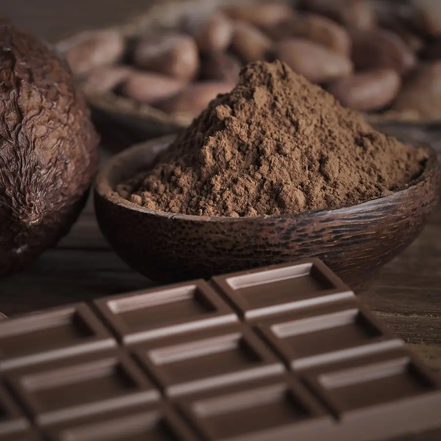 Organic Costa Rican cocoa and chocolate – natural ingredients for premium flavor and pleasure