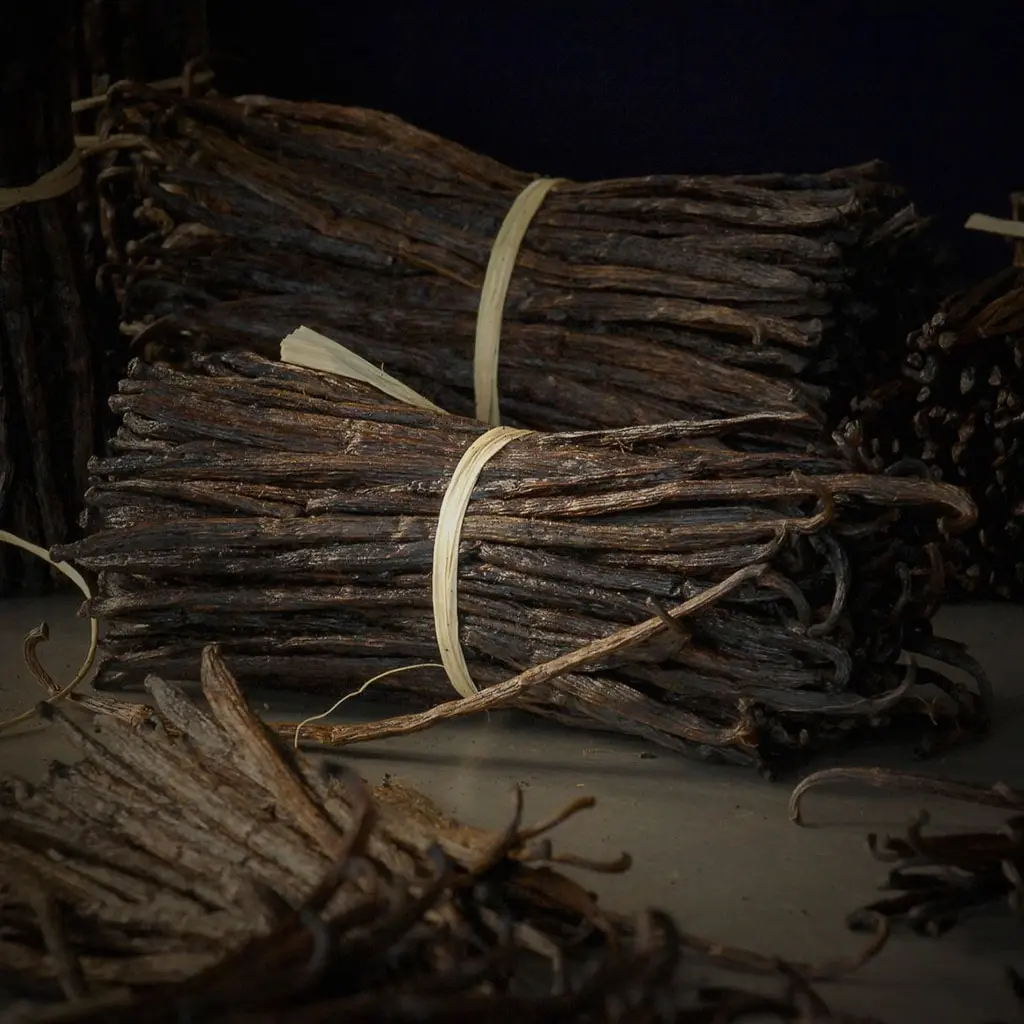 Premium organic vanilla beans from Costa Rica – natural fragrance and gourmet flavor