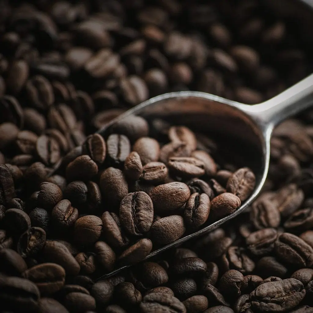 Pure Arabica coffee beans from Costa Rica – organic, aromatic, and freshly roasted