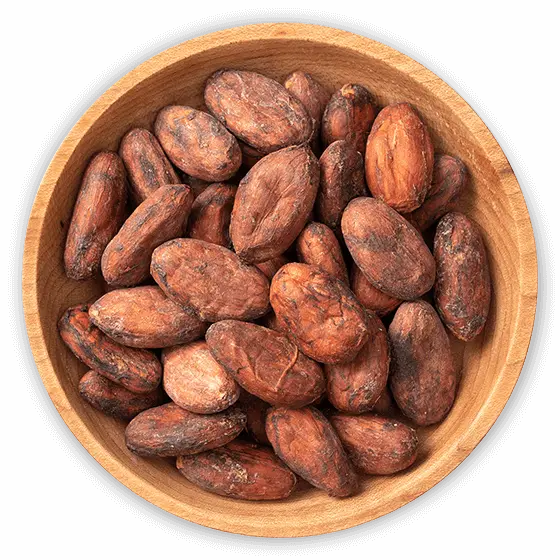 Buy organic cocoa beans from Costa Rica – premium unroasted cacao for chocolate production