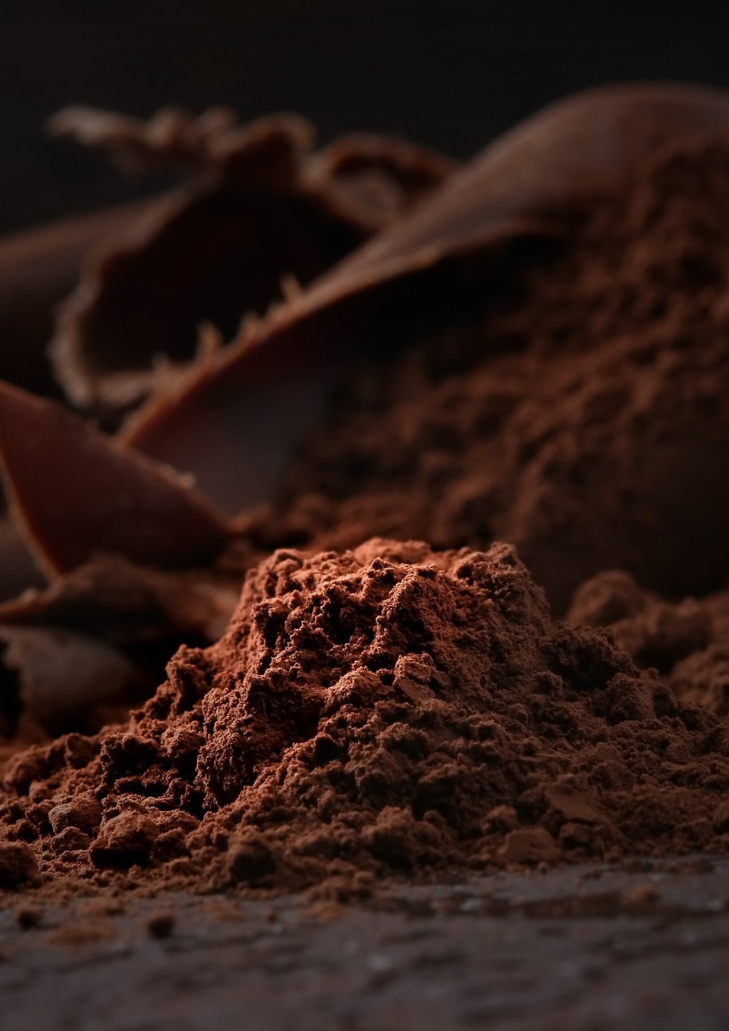 Cocoa Powder - wide range of certification