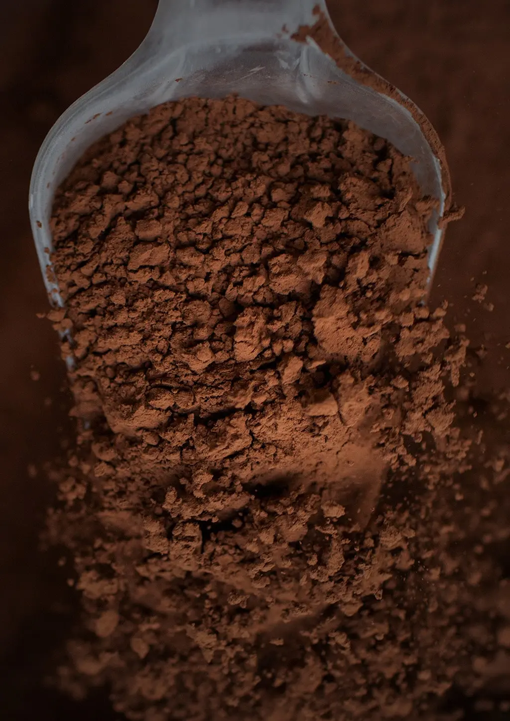 Natural and alkalised cocoa powder samples showing colour variety