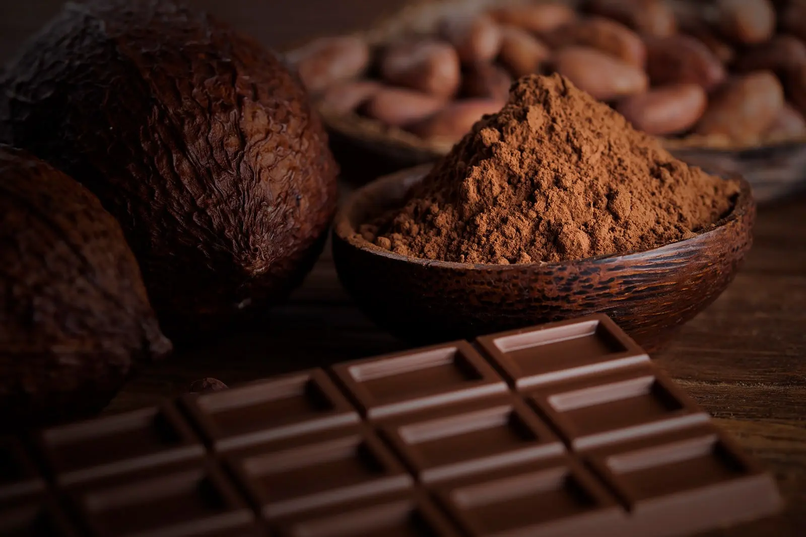 Organic cocoa powder from Costa Rica in natural brown shades