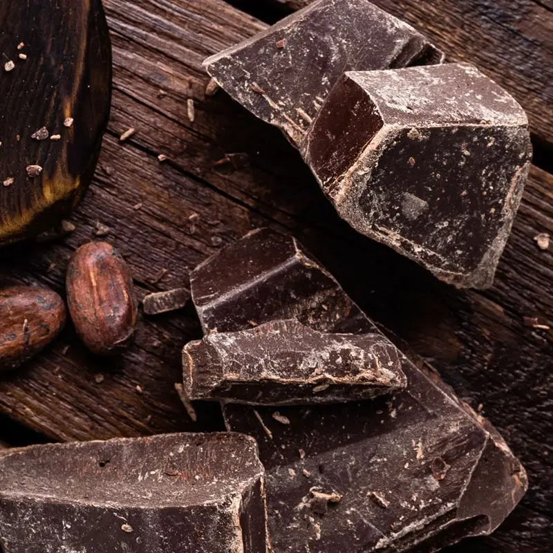 Pure organic cocoa mass – natural base for fine chocolate production