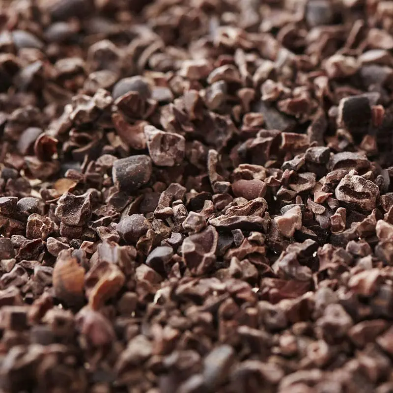 Crunchy organic cocoa nibs from Costa Rican farms – ideal for healthy snacks and chocolate making