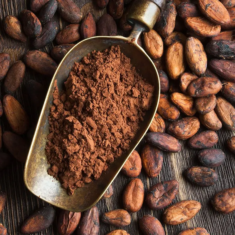 Rich organic cocoa powder – 100% natural and unsweetened, perfect for baking and beverages