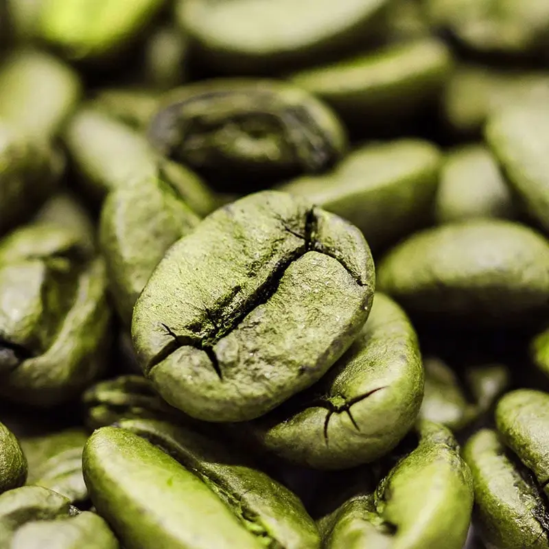 High-quality raw green coffee beans grown organically in Costa Rica for export