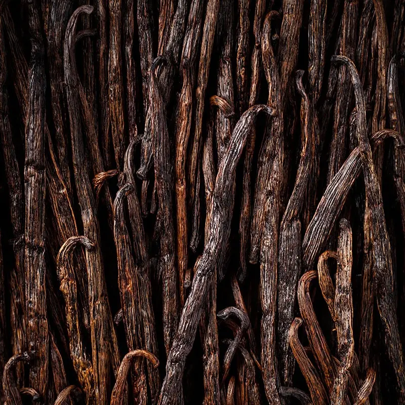 Organic vanilla beans from Costa Rica – aromatic, flavorful, and naturally cured
