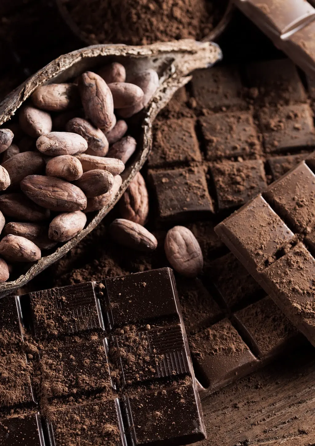 Allergen‑free non‑dairy organic chocolate from Costa Rica
