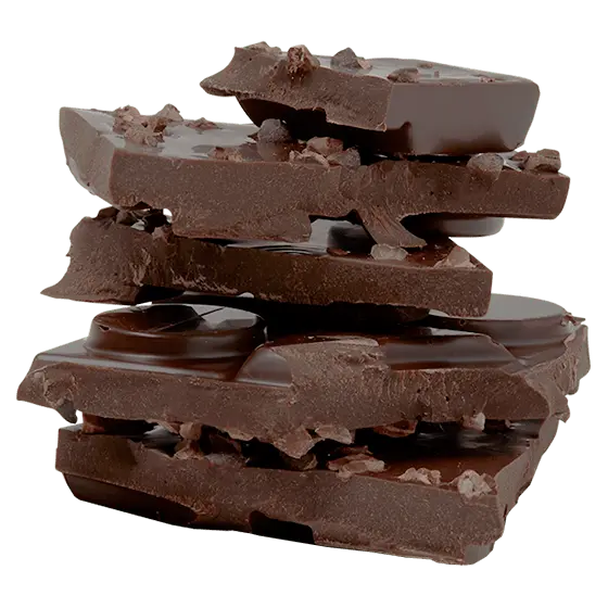 Organic vegan chocolate from Costa Rica fair trade