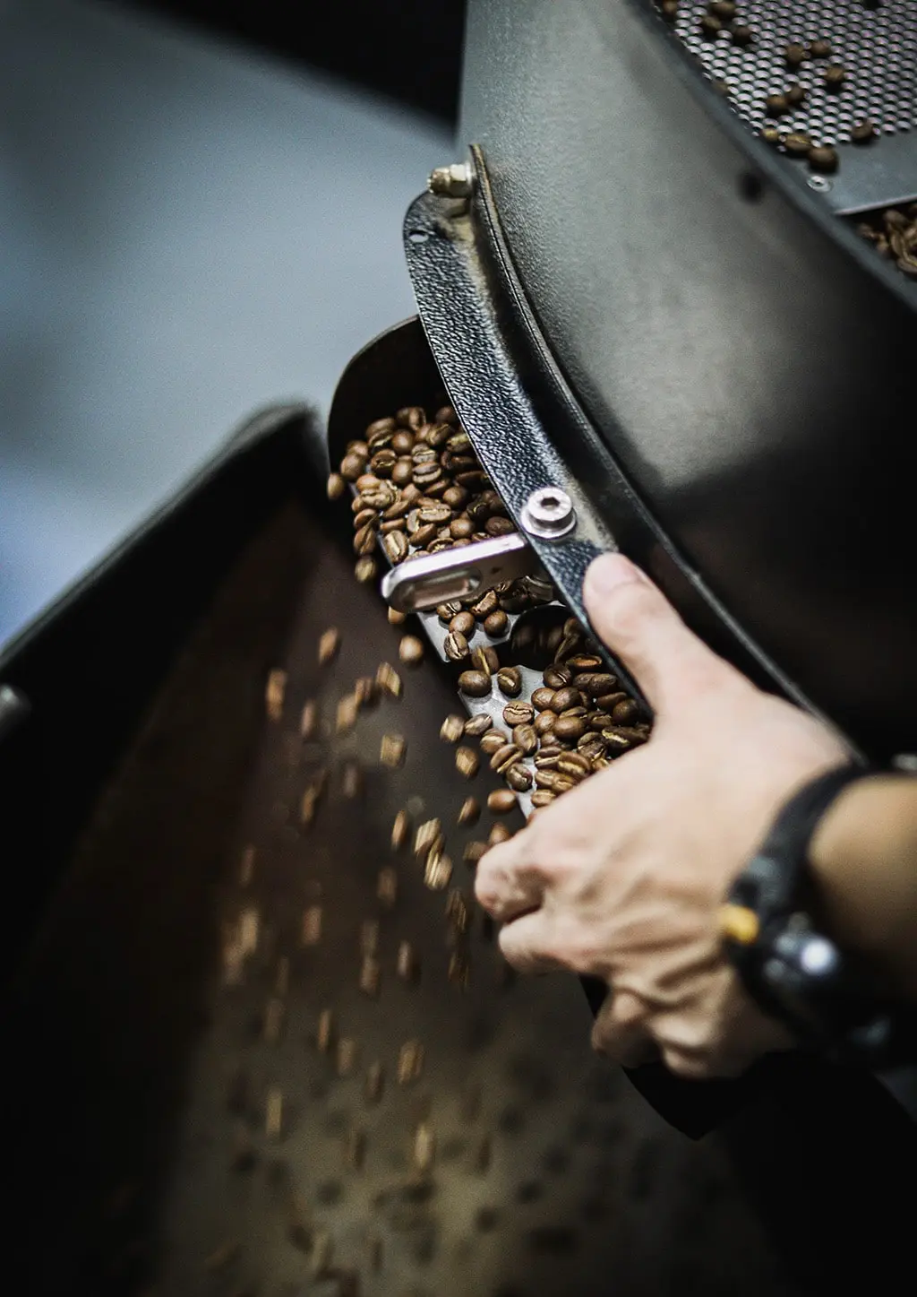 Freshly roasted organic coffee beans in jute bag – authentic Costa Rica harvest with intense aroma