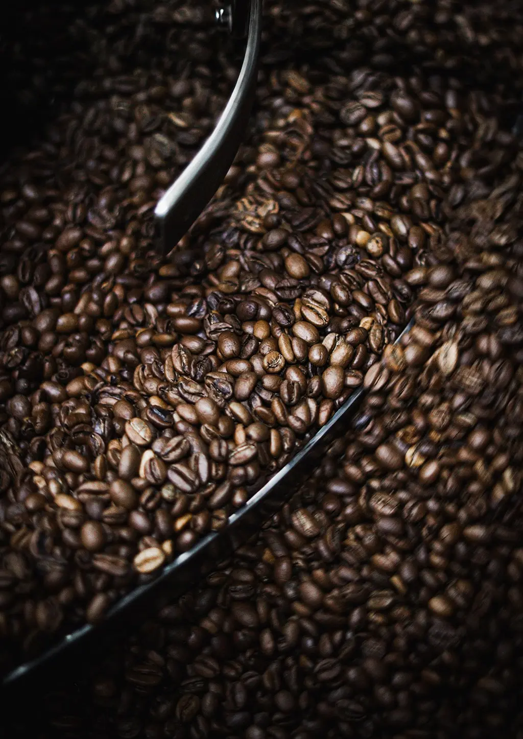 Organic roasted coffee beans scattered on rustic wooden table – Costa Rican Arabica with natural shine